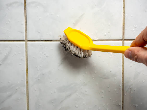 Certified Mold Removal in New Hope, MS