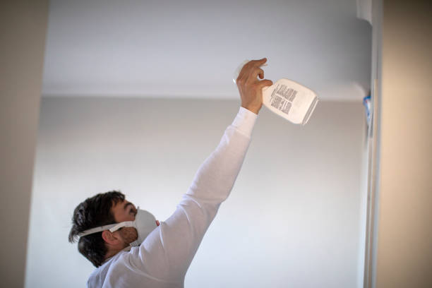 Best Toxic Mold Removal  in New Hope, MS
