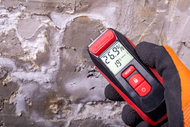 Best Emergency Mold Removal  in New Hope, MS
