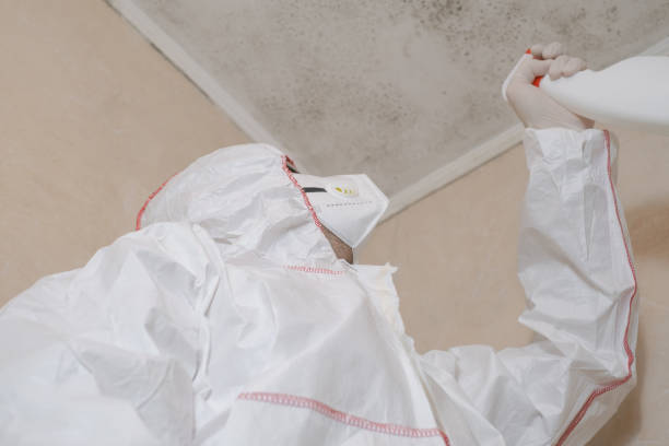 Best Crawl Space Mold Removal  in New Hope, MS
