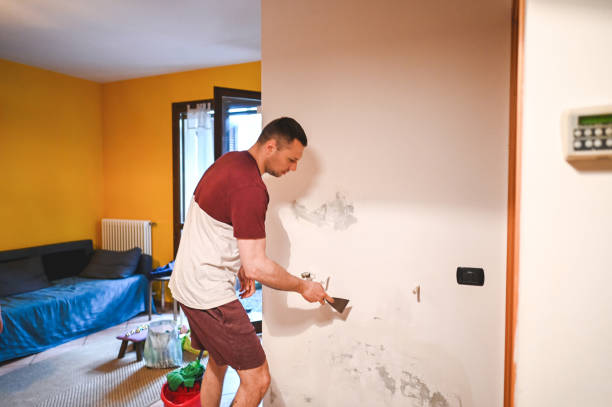 Mold Testing and Removal in New Hope, MS
